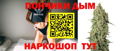 гашик Обнинск