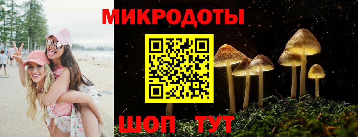 Галлюциногенные грибы Magic Shrooms  Вход с VPN  Якутск 